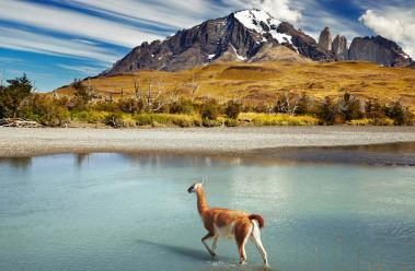 chile-natur-reisen-patagonient